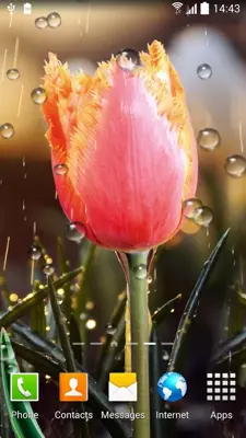 Spring Flowers Live Wallpaper android App screenshot 4